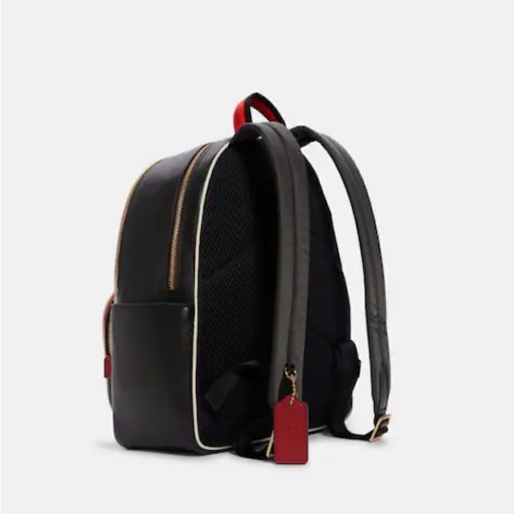 Coach Court Backpack With Tiger Print - Picture 2 of 4